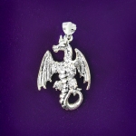 Glastonbury Abbey Shop Photography