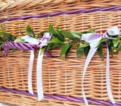 Musgrove Willows Photography