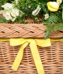 Musgrove Willows Photography