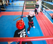 Panthers Martial Arts Academy Photography