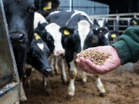 Farming Article Commission for ABC Photography