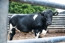 Farming Article Commission for ABC Photography