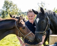 Veterinary & Agriculture Photography - Vet making friends with the foals 