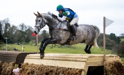 Veterinary & Agriculture Photography - Getting some air between the Fence at Alden International Horse Trials