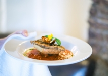 Food, Drink & Hospitality Photography - Tasty Food at the White Hart
