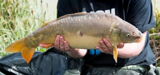 Lifestyle Photography - Carp Fish Caught