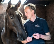 Veterinary & Agriculture Photography - Sclater Equine Vet preparing to give horse an injection