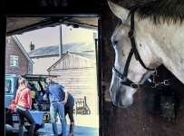 Veterinary & Agriculture Photography - Horse looking on as Sclater Equine Vet and owner study scan imagery.