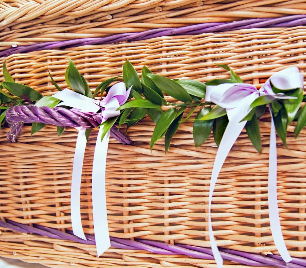 Musgrove Willows Photography