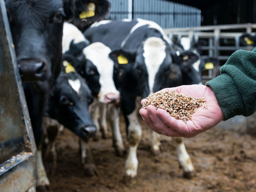 Farming Article Commission for ABC Photography