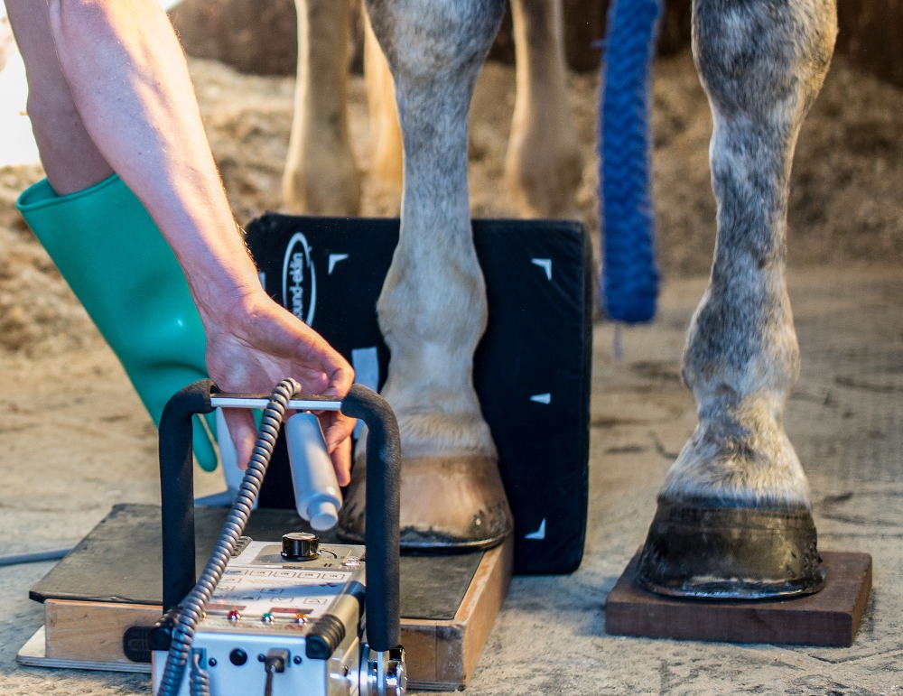 Veterinary & Agriculture Photography - Sclater Vets X Raying the inside of the horses foot