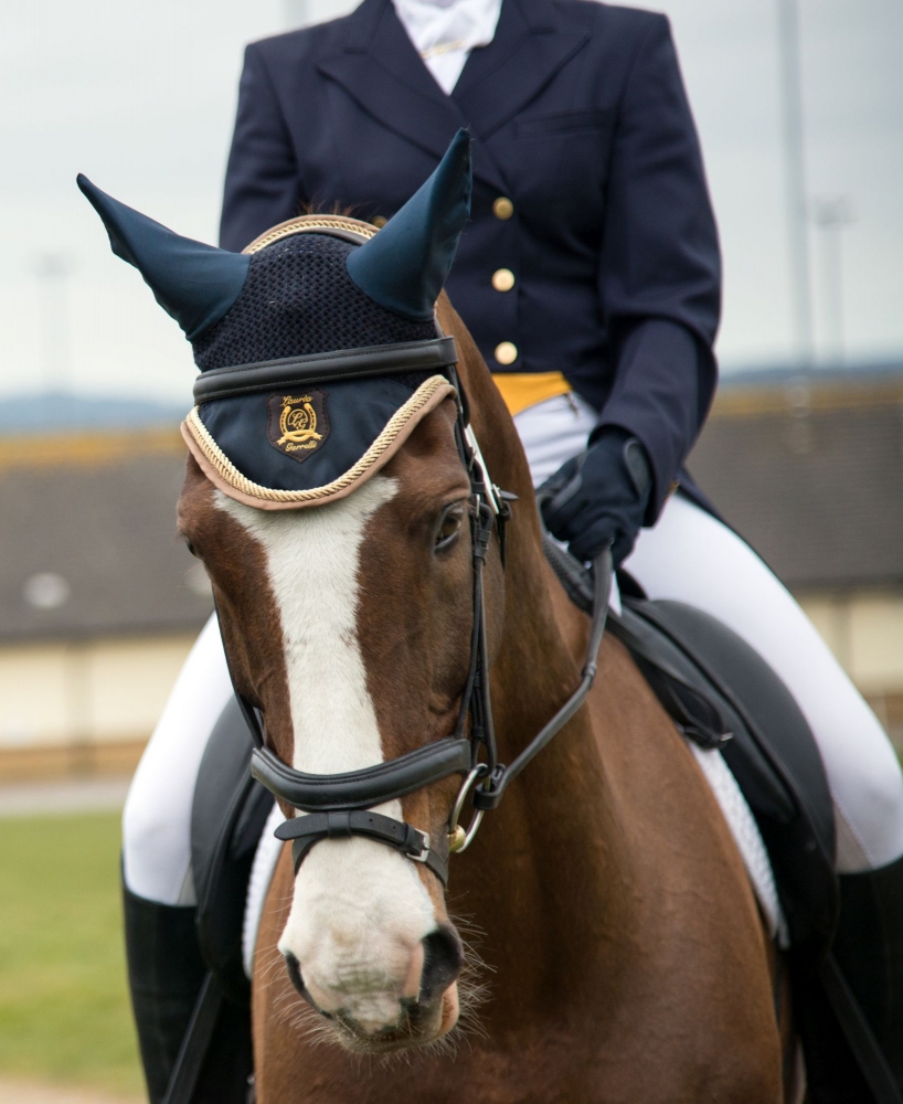 Veterinary & Agriculture Photography - Equine Eventing Passport Vetting 